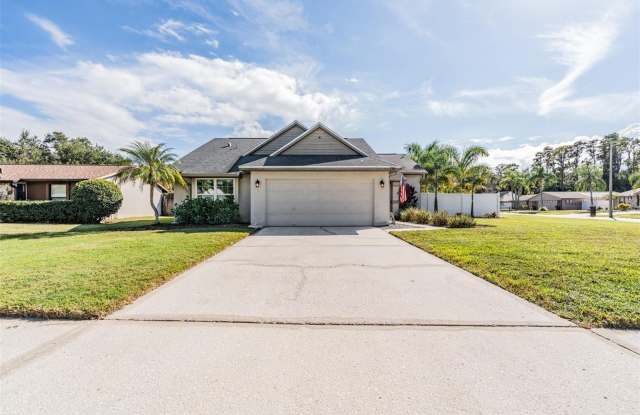 714 SATINLEAF AVENUE - 714 Satin Leaf Avenue, Oldsmar, FL 34677