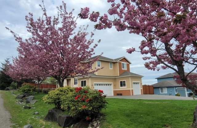 UPDATED CHAFFEY 4 BEDROOOM KINGSTON HOME FOR RENT WITH GREAT VIEWS! photos photos