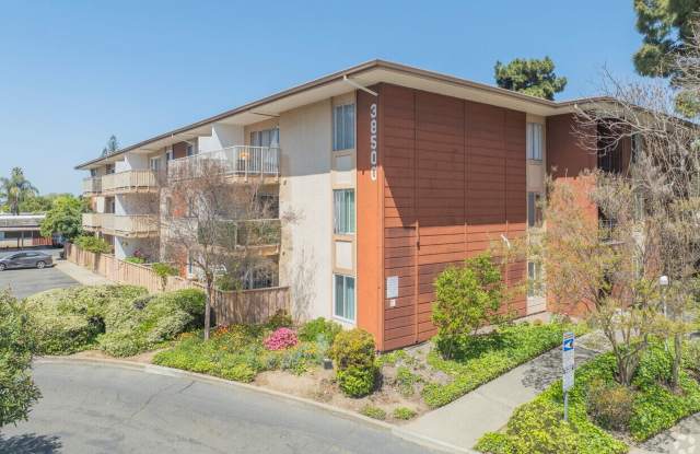 Cozy 1-bedroom Condo for Rent- Parkmont! photos photos
