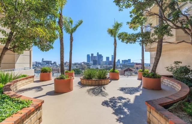 Skyline Terrace Apartments photos photos