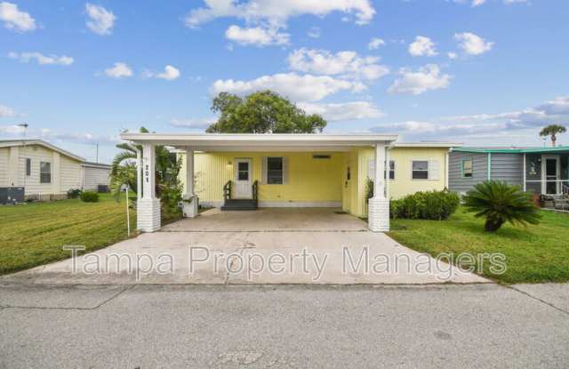 201 Country Ln - 201 Country Lane, Hillsborough County, FL 33565