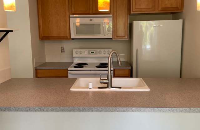Cozy Bellevue One Bedroom Available Beginning of July! photos photos
