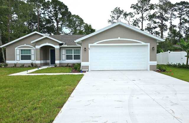 Spacious 3 bed, 2 bath Palm Coast Home minutes from dining and shopping photos photos