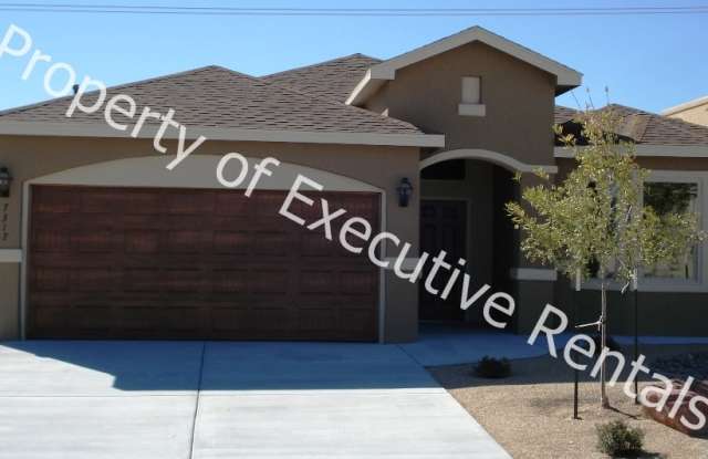 7317 Vista De Sobre - Magnificent 3 bed 2 bath rental in Las Cruces! Gallery 4