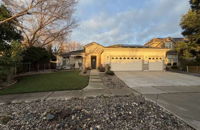 1706 Guildford Way photos photos