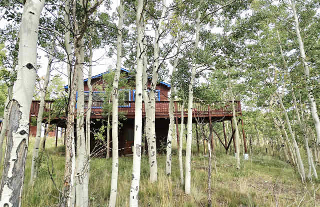 56 Sheep Ridge Rd - 56 Sheep Ridge Road, Park County, CO 80440