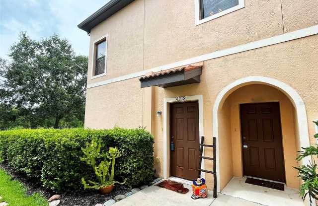 4218 VIA PIEDRA CIRCLE photos photos