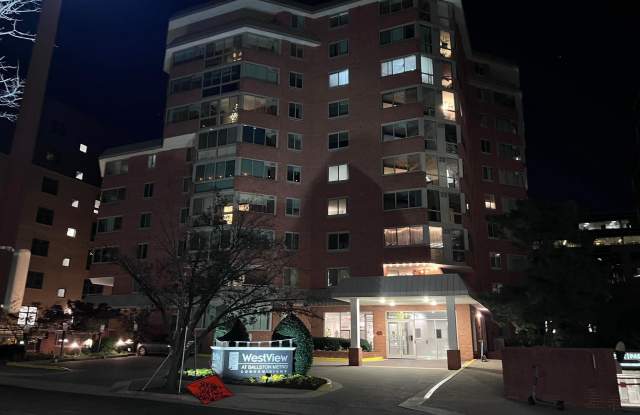 1001 N VERMONT Street unit: 613 photos photos