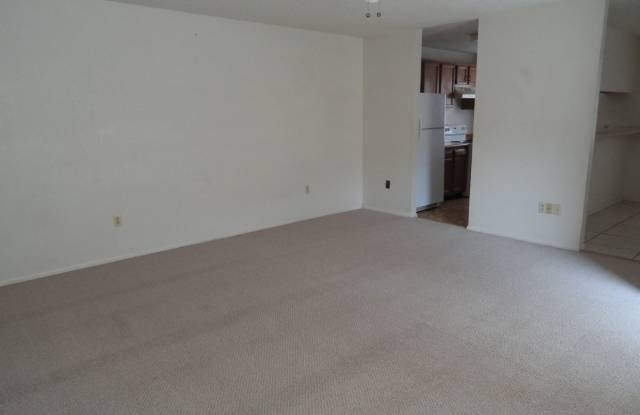 707 Los Arboles Gallery 2