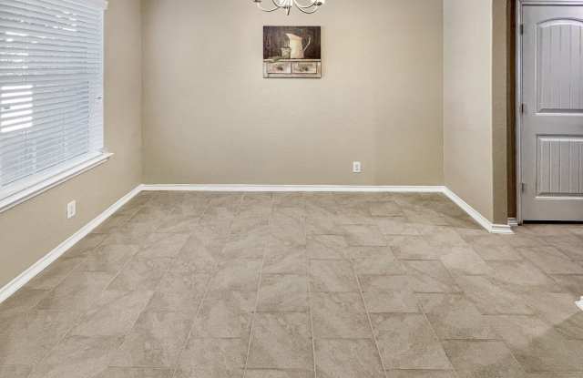 15106 Cinnamon Teal Gallery 4