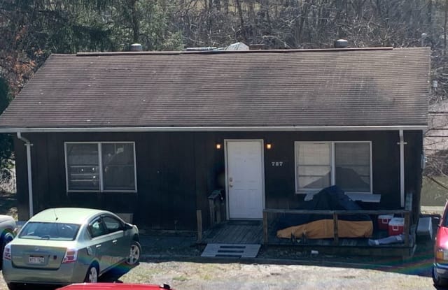 727 Powell Avenue - 727 Powell Avenue, Morgantown, WV 26505