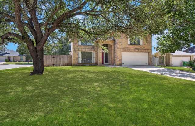 6702 Secession Gallery 2