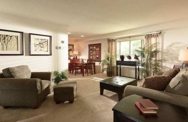 Tall Pines photos photos