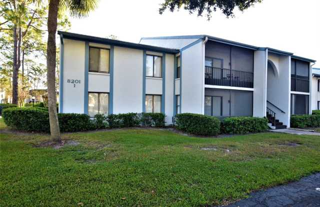 8201-71 Sun Spring Circle Gallery 4
