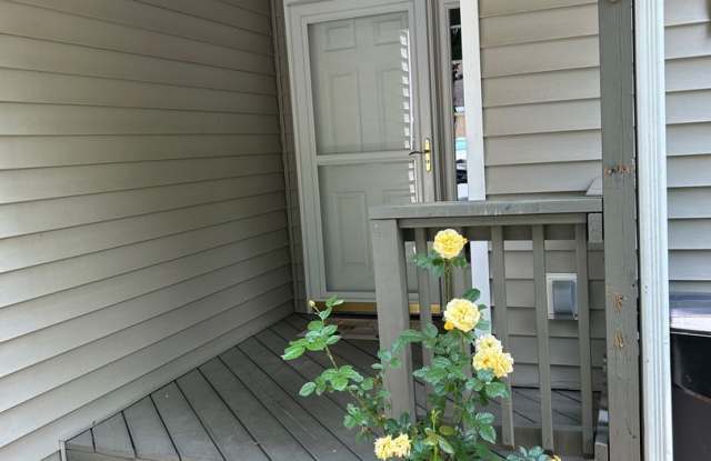 Mills River - Beautiful Townhome with Mountain Views! Gallery 4
