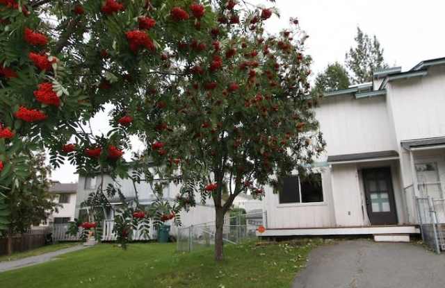 2 Bedroom Townhouse in East Anchorage! photos photos