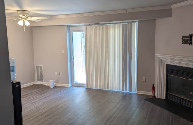 202 Spring Maiden Court Gallery 2