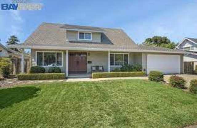 Charming Silvergate Home with Stunning Backyard Oasis in West Dublin photos photos
