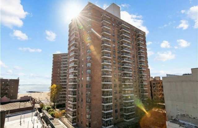 50 Brighton 1st Road photos photos