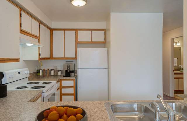 2 Bedroom 1 Bath photos photos