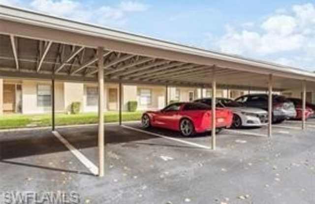 141 Cypress photos photos