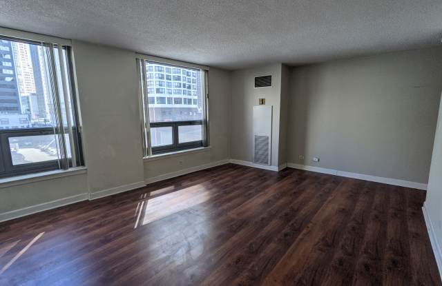 440 N Wabash Ave Apt 510 - 440 North Wabash Avenue, Chicago, IL 60611