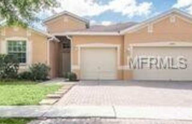 11404 Bridge Pine Drive - 11404 Bridge Pine Drive, Riverview, FL 33569
