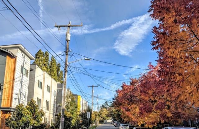 6714 Alonzo Ave NW - 6714 Alonzo Avenue Northwest, Seattle, WA 98117