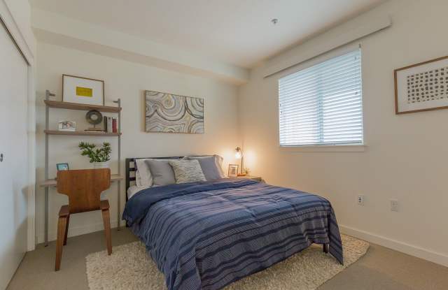 Linden Apartments Gallery 2