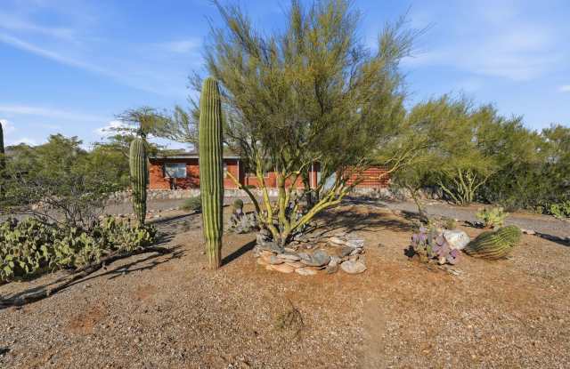 3BR/4BA Professional Retreat with Private Desert Oasis - 2235 East Camino el Ganado, Catalina Foothills, AZ 85718