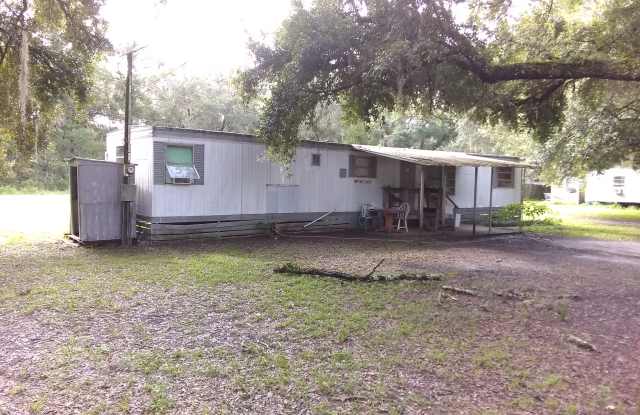 59 Se 411th St - 59 Southeast 411th Street, Dixie County, FL 32628