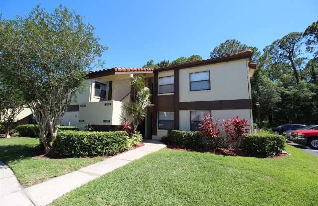 3293 WESTRIDGE BOULEVARD - 3293 Westridge Boulevard, Orlando, FL 32822