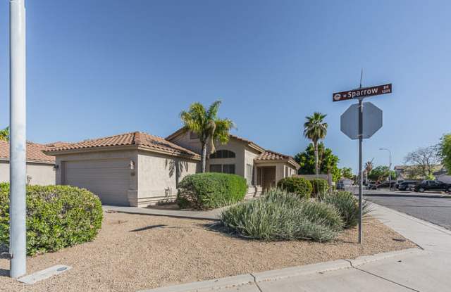 1317 West Sparrow Drive - 1317 West Sparrow Drive, Chandler, AZ 85286
