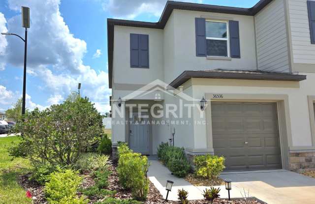 2 Bed/2.5 Bath, 1,541 Sqft - 36536 Well Hill Way Zephyrhills, FL 33541 photos photos