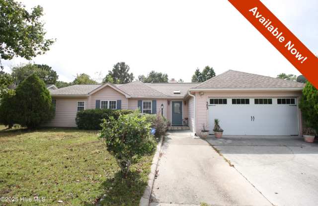 303 Putnam Drive - 303 Putnam Drive, Murraysville, NC 28411