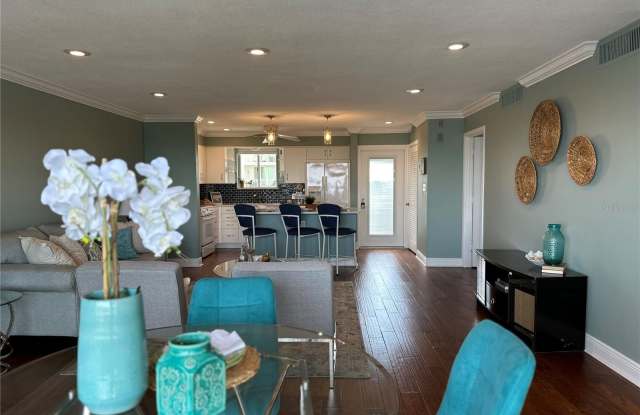 1365 SNELL ISLE BOULEVARD NE photos photos