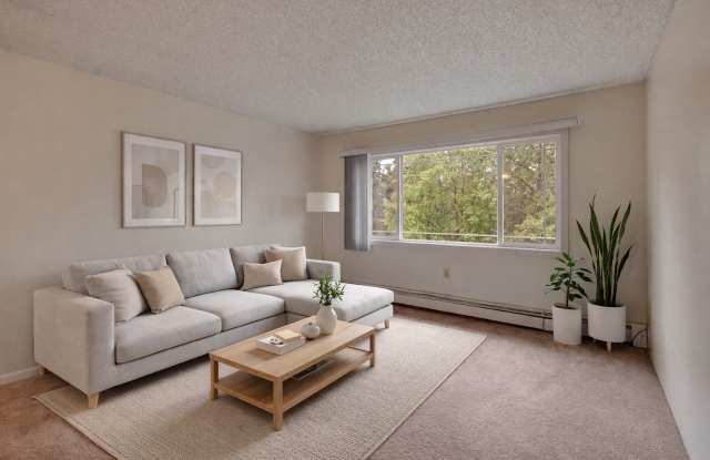 Taiga photos photos Taiga photos photos