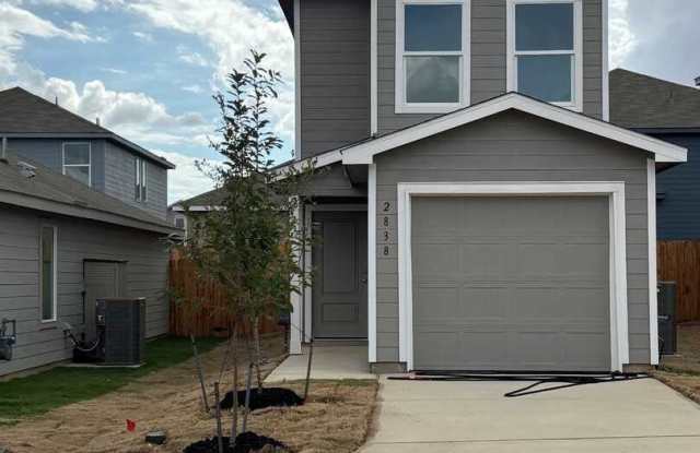 2838 Carnelian photos photos