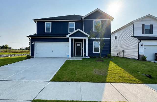 539 White Birch Lane photos photos