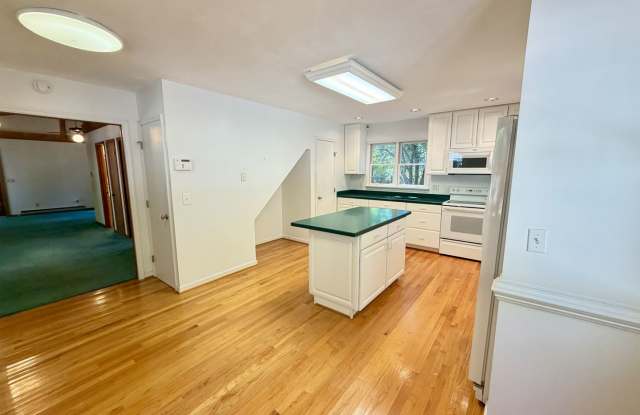 3 Bedroom/3 Bathroom Home on Kerr Lake that includes 3 Bonus Rooms Gallery 3