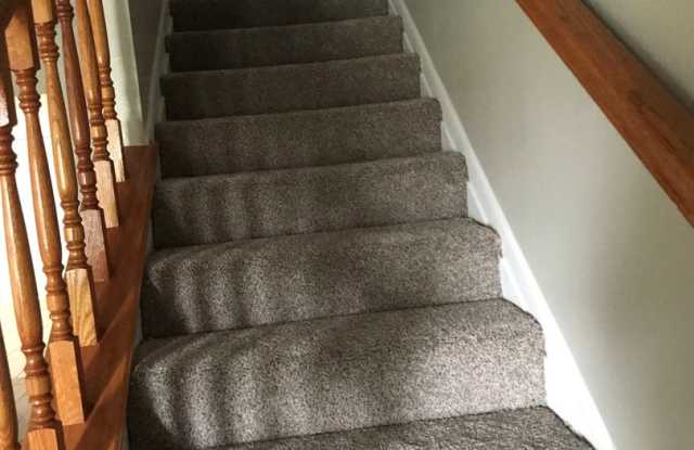 SOUTH & PARK photos photos