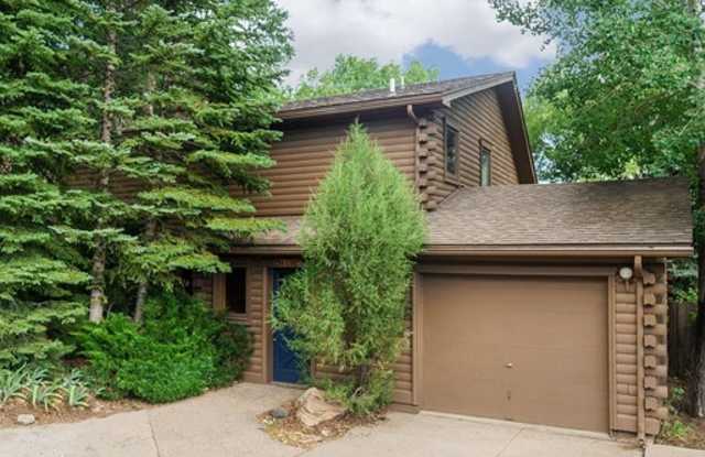 620 North Traver Trail - 620 North Traver Trail, Glenwood Springs, CO 81601