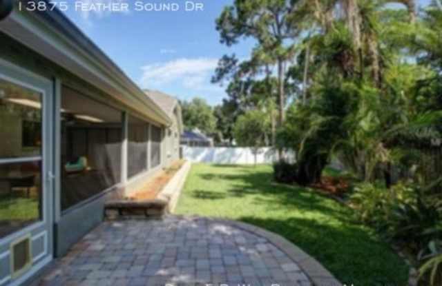 13875 Feather Sound Dr Gallery 4