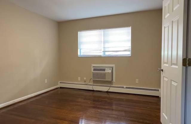 1BR/1Bath Apartment in Roanoke Historic District! Gallery 4