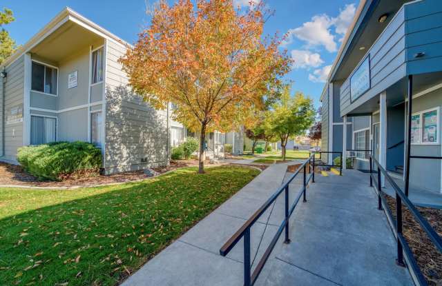 The Meadows photos photos The Meadows photos photos