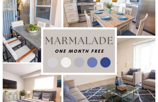 Marmalade 228 photos photos