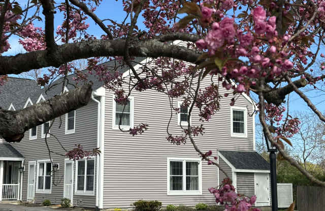 16 Mussey Street photos photos