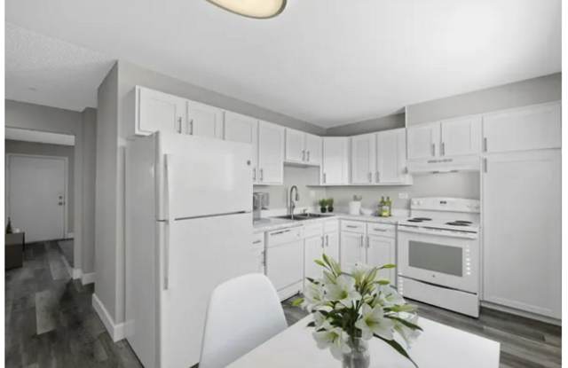 Nova Apartments - Gallery 2