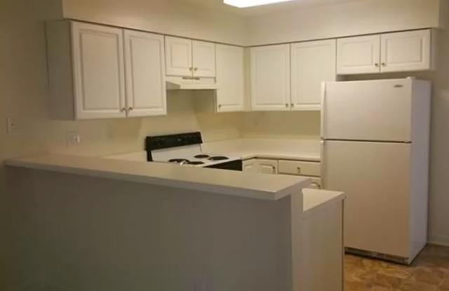 12608 Meghans Bay Ct Gallery 4