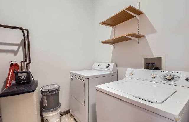 Great Maple Grove Location photos photos